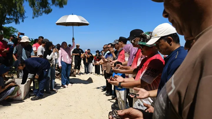 Cangke Initative : Lepas Penyu di Pulau Cangke Pangkep