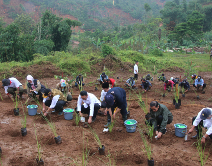 Penanaman Pohon